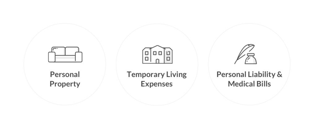 Main coverage types - by Lemonade