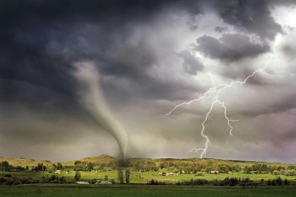 Natural disaster - by Lemonade