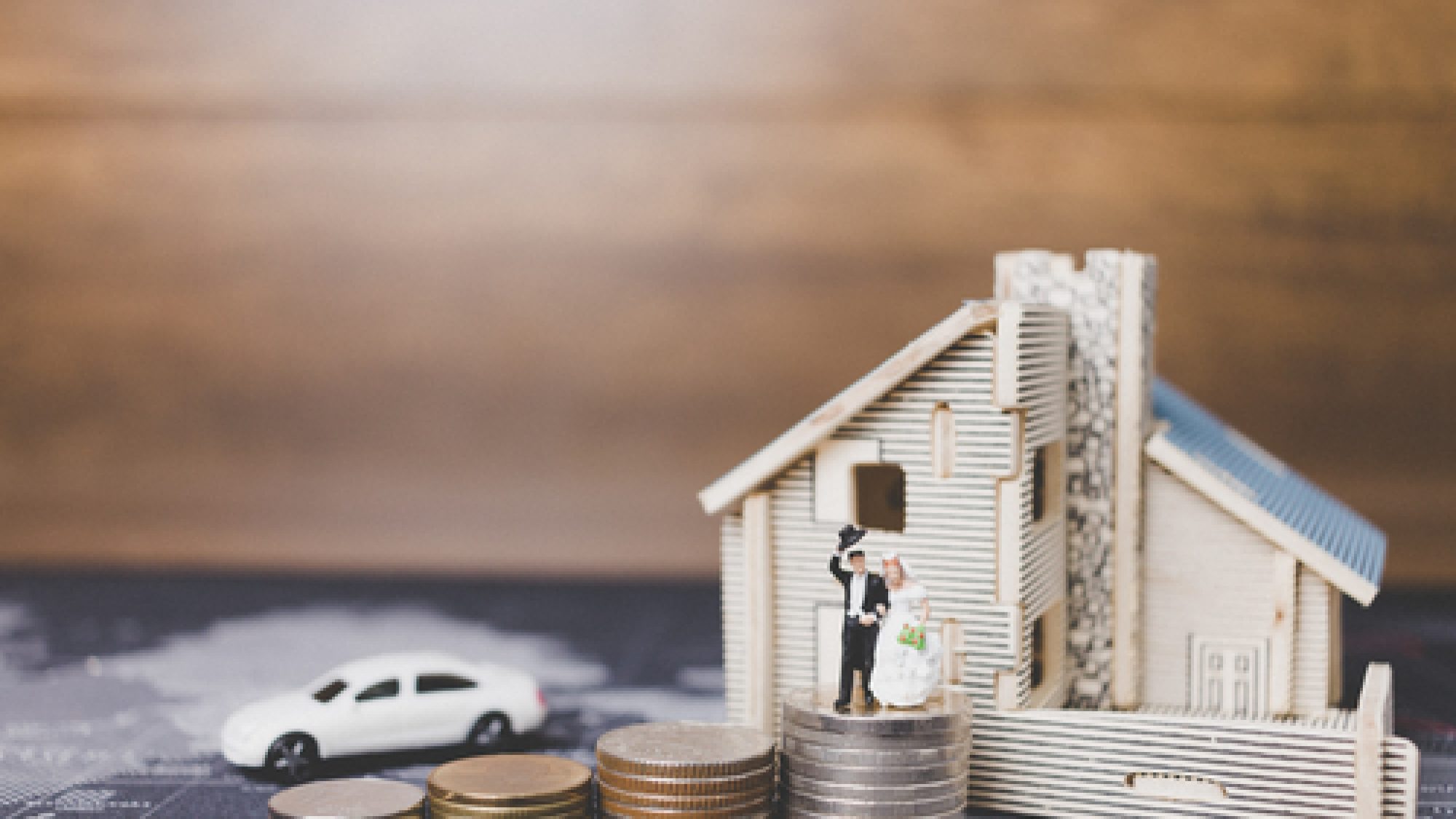 Miniature,People,Bride,And,Groom,With,Coins,Money,At,Home